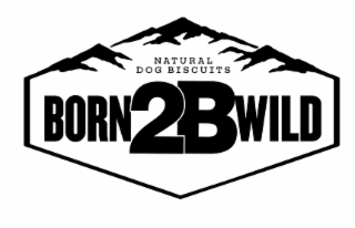 BORN 2B WILD NATURAL DOG BISCUITS