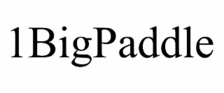 1BIGPADDLE