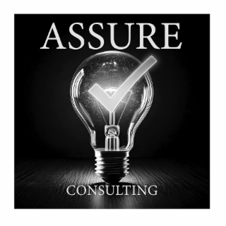ASSURE CONSULTING