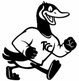 TCC