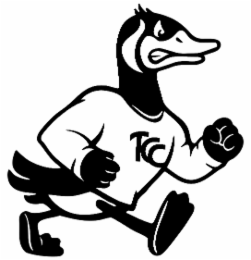 TCC
