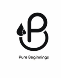 P PURE BEGINNINGS