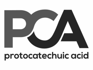 PCA PROTOCATECHUIC ACID
