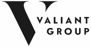 V VALIANT GROUP