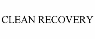 CLEAN RECOVERY