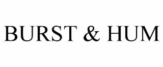 BURST & HUM