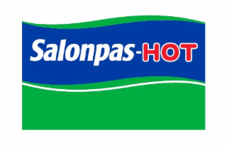 SALONPAS-HOT