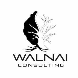 WALNAI CONSULTING