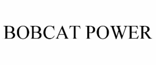 BOBCAT POWER