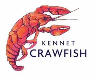 KENNET CRAWFISH