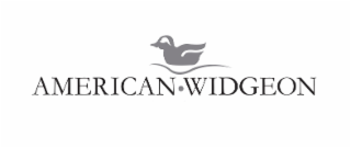 AMERICAN • WIDGEON