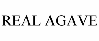 REAL AGAVE