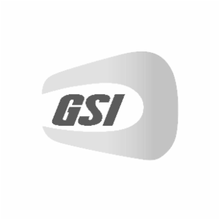 GSI