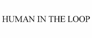 HUMAN IN THE LOOP