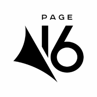 PAGE 16