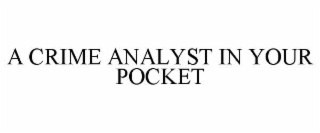 A CRIME ANALYST IN YOUR POCKET