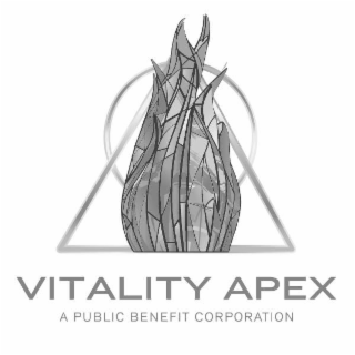 VITALITY APEX A PUBLIC BENEFIT CORPORATION