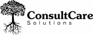 CONSULTCARE SOLUTIONS