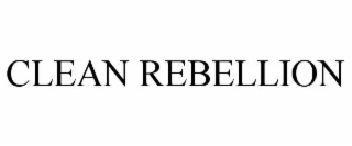 CLEAN REBELLION