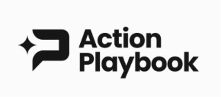 ACTION PLAYBOOK