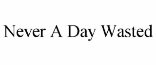 NEVER A DAY WASTED