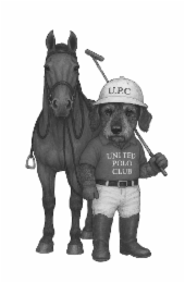 U.P.C UNITED POLO CLUB