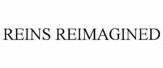 REINS REIMAGINED