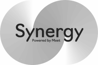SYNERGY POWERED BY MEET