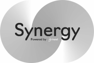 SYNERGY POWERED BY MEET