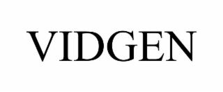 VIDGEN