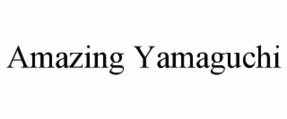 AMAZING YAMAGUCHI