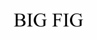 BIG FIG