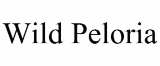WILD PELORIA
