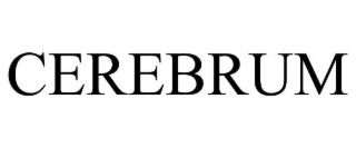 CEREBRUM