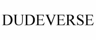DUDEVERSE