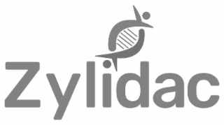 ZYLIDAC