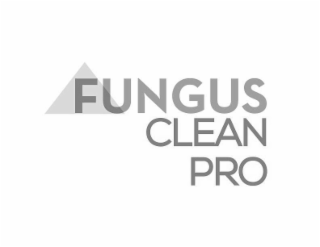 FUNGUS CLEAN PRO