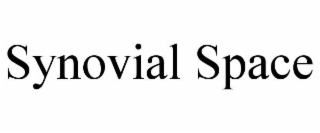 SYNOVIAL SPACE