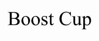 BOOST CUP