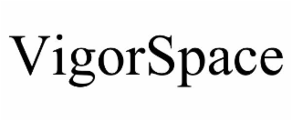 VIGORSPACE