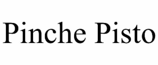 PINCHE PISTO