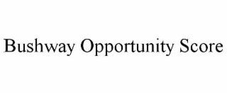 BUSHWAY OPPORTUNITY SCORE
