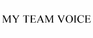 MY TEAM VOICE