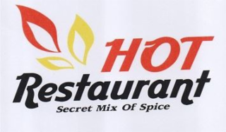HOT RESTAURANT SECRET MIX OF SPICE