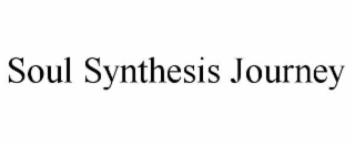 SOUL SYNTHESIS JOURNEY