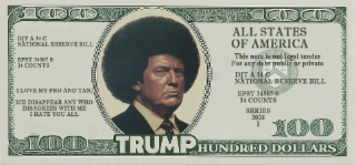 100 TRUMP HUNDRED DOLLARS ALL STATES OF AMERICA THIS NOTE IS NOT LEGAL TENDER FOR ANY DEBT PUBLIC OR PRIVATE DIT A 34 C NATIONAL RESERVE BILL EPST 34567 S 34 COUNTS I LOVE MY FRO AND TAN, ICE DISAPPEAR ANY WHO DISAGREES WITH ME I HATE YOU ALL SERIES 2025 I