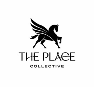 THE PLACE COLLECTIVE