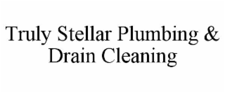 TRULY STELLAR PLUMBING & DRAIN CLEANING