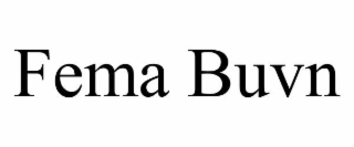FEMA BUVN
