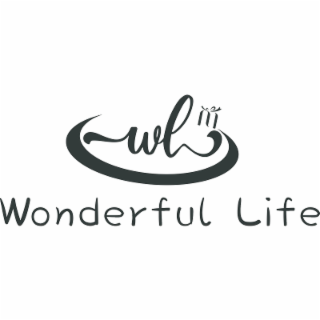 WONDERFUL LIFE